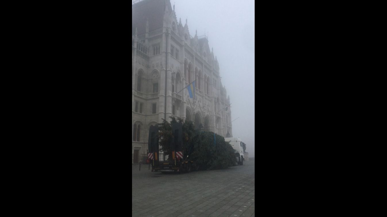 Megérkezett Székesfehérvár karácsonyfája az Országház elé (videó)