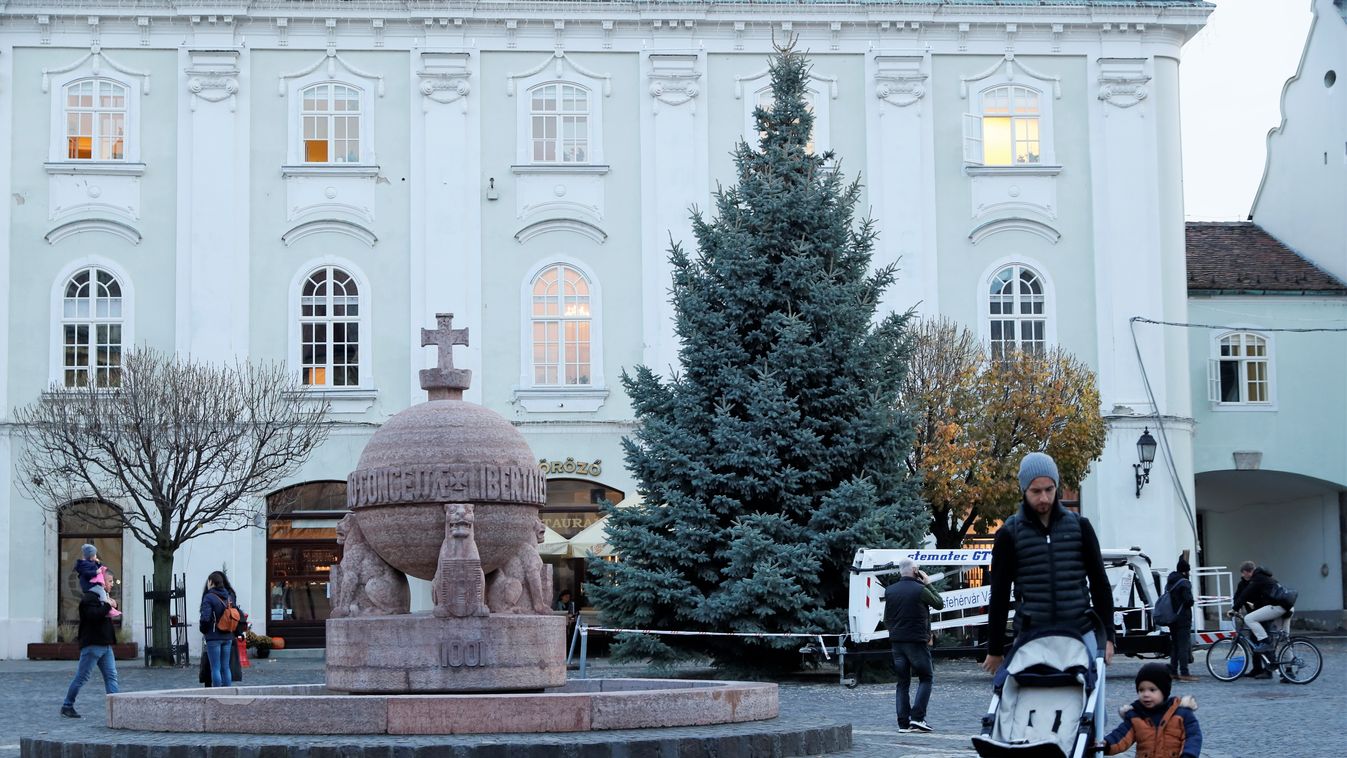 Olvasóink fele el van ragadtatva a fehérvári városi karácsonyfától