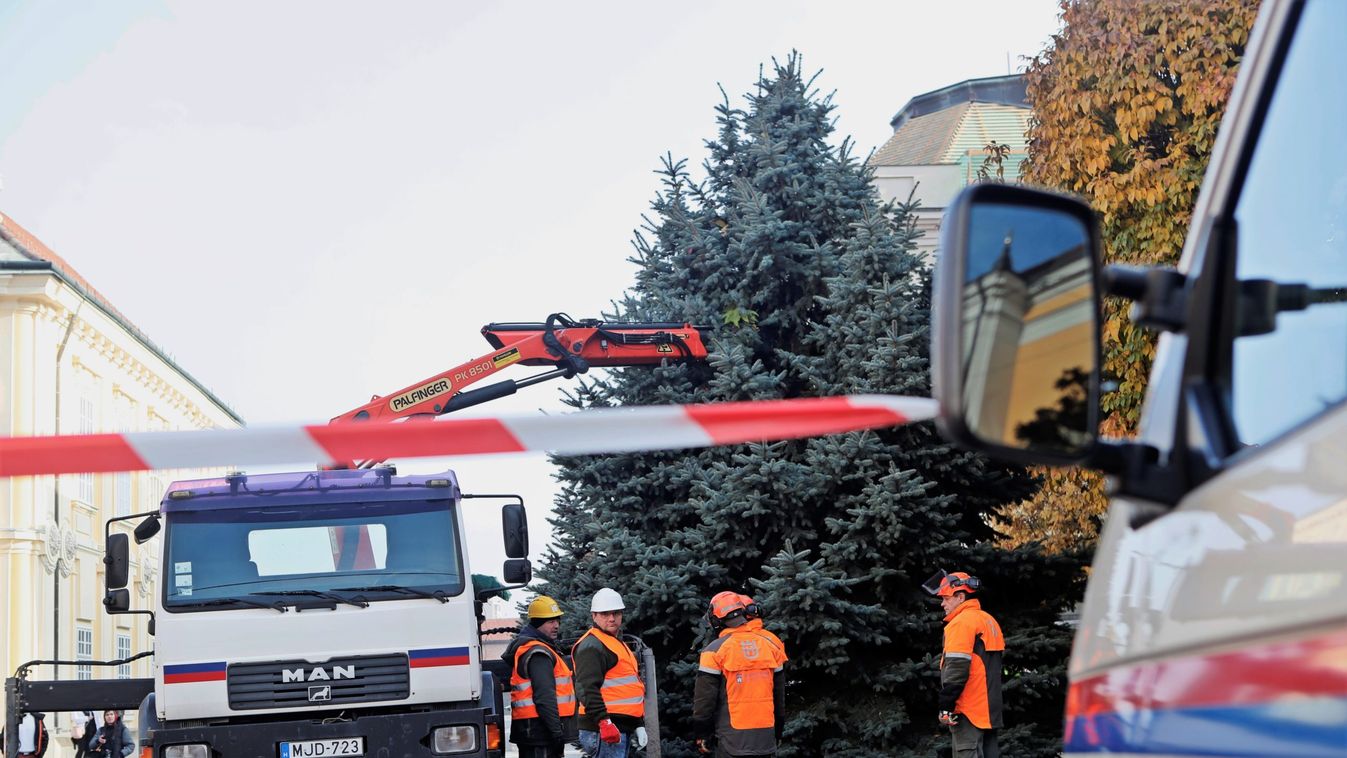 Megérkezett Székesfehérvár karácsonyfája