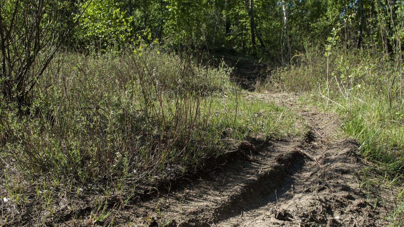 Motorosok hasították fel a Sóstó ösvényeit