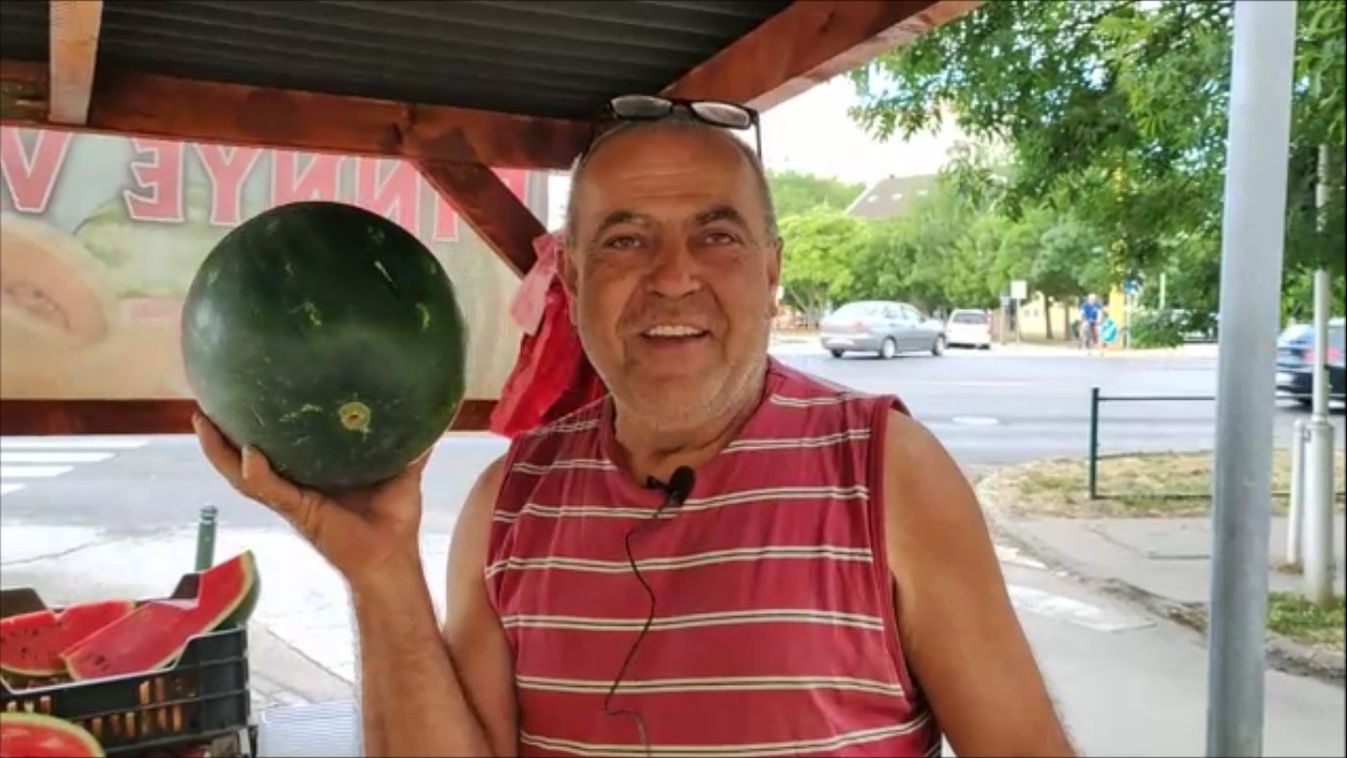 Lerántjuk a leplet! Így vehet mennyei finom dinnyét, kopogtatás nélkül (videó)