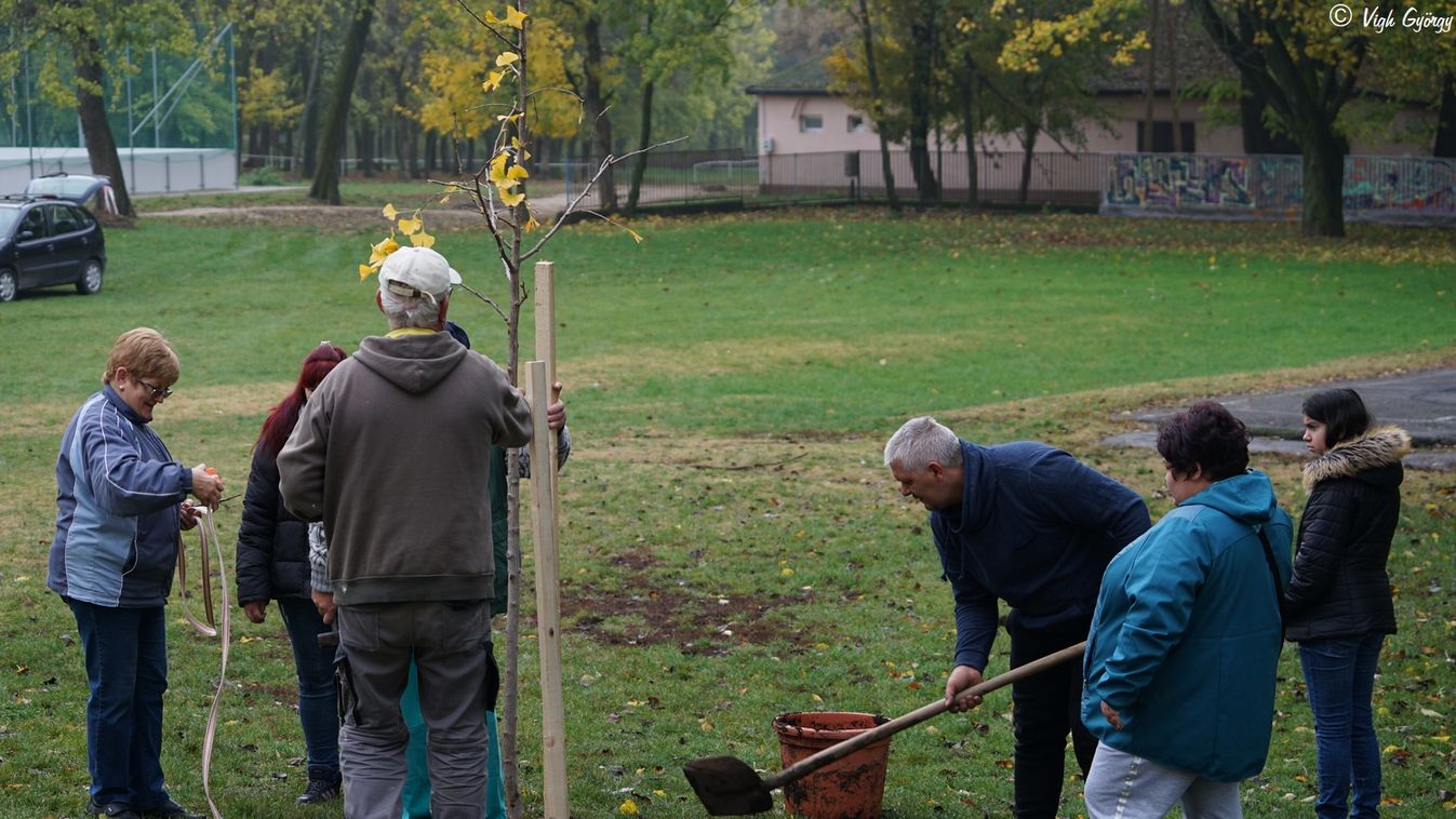 Újabb fákkal gyarapodott a perkátai Győry kastély kertje