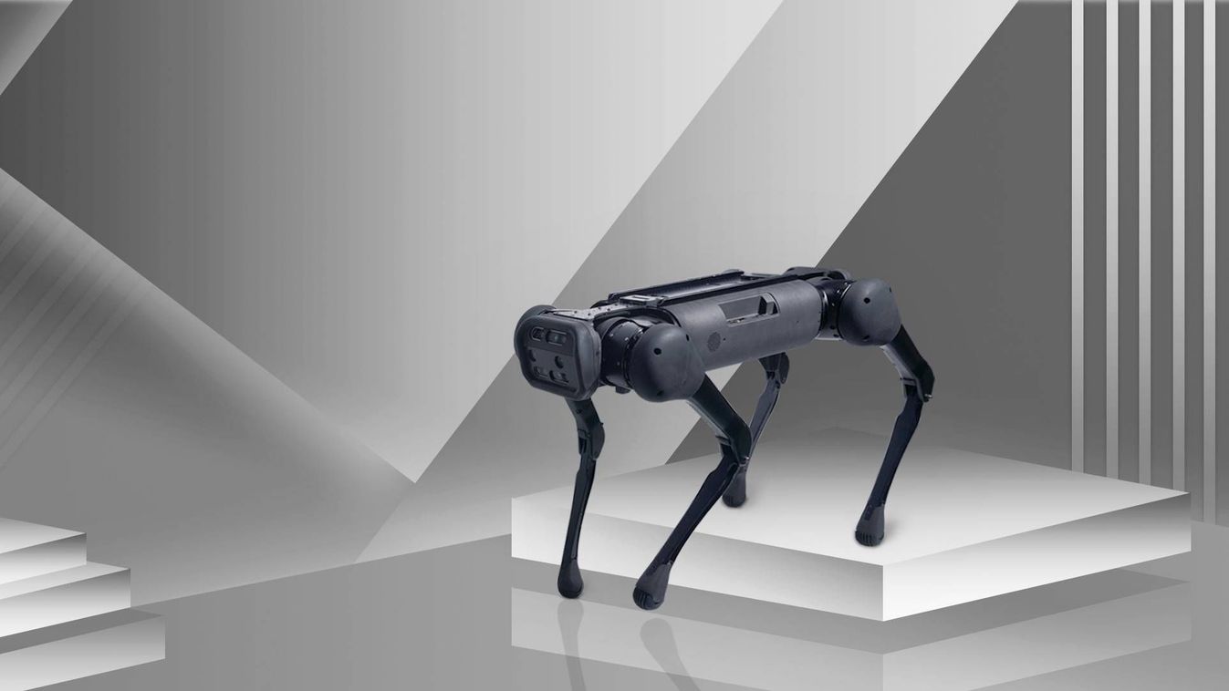 Ettől frászt lehet kapni: robotkutyák hadserege
