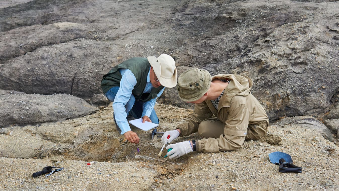 Különleges fosszília került elő a tenger mélyéről