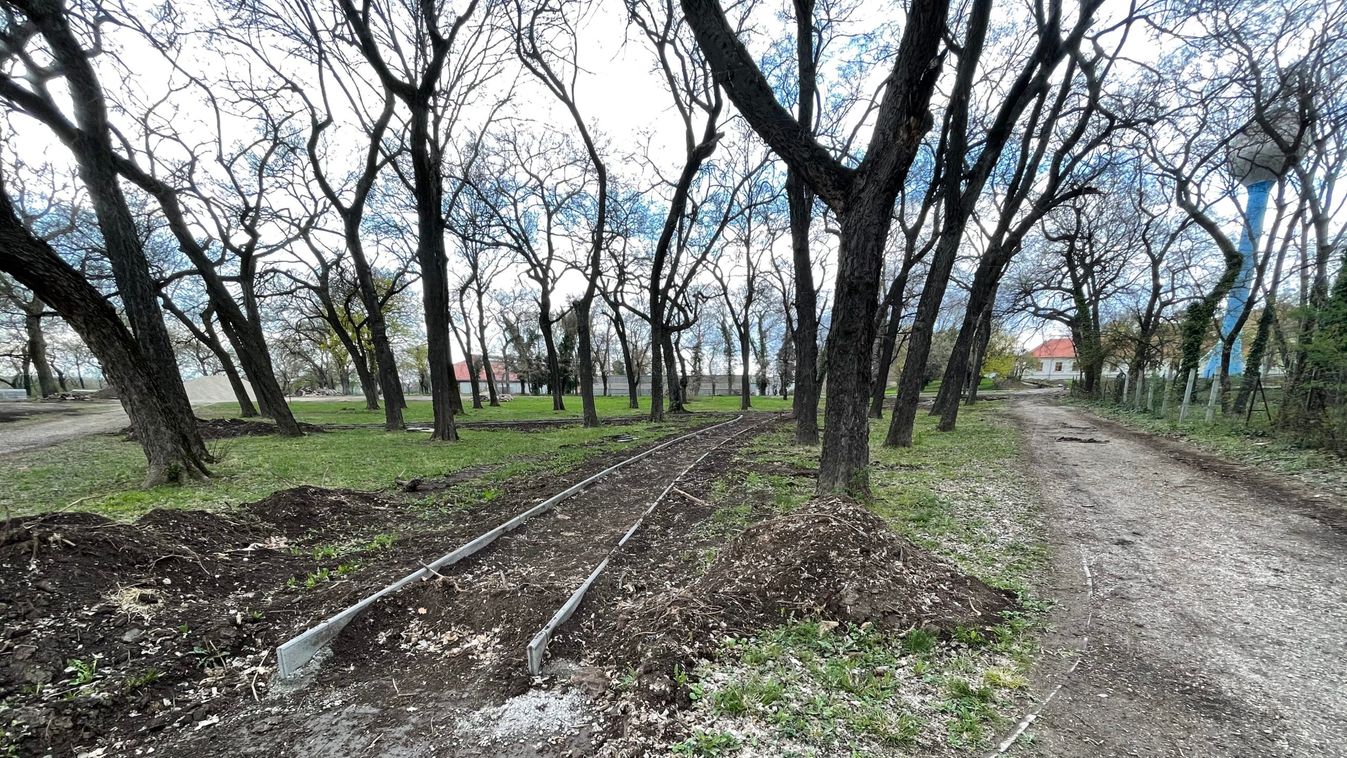 Egyre zöldülő utak mutatják az utat Enyingen