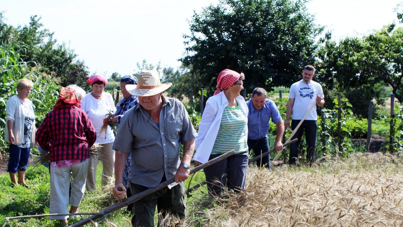 Eleik munkája előtt tisztelegtek a sárszentágotai aratónapon
