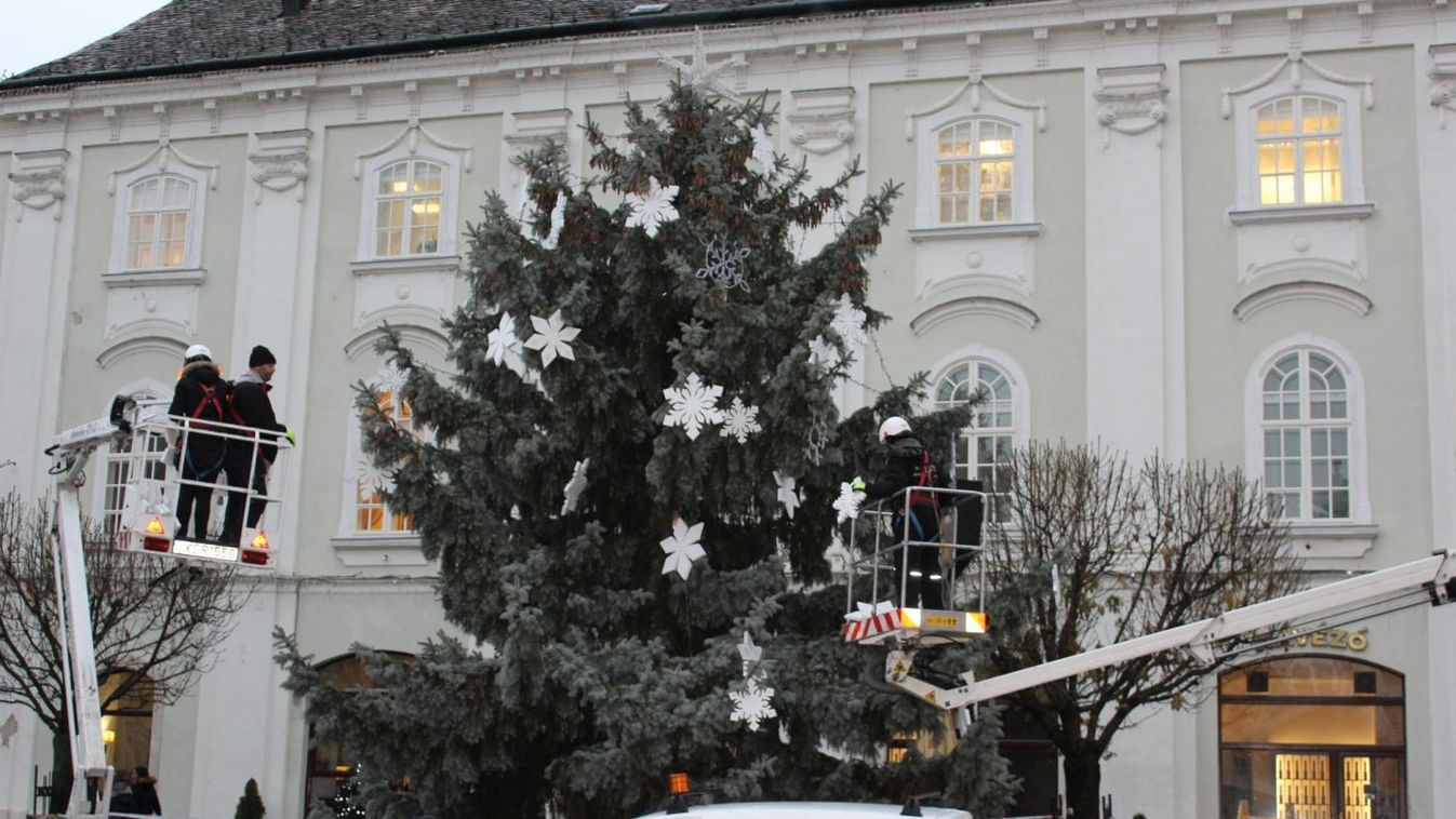 Már díszítik Fehérvár karácsonyfáját