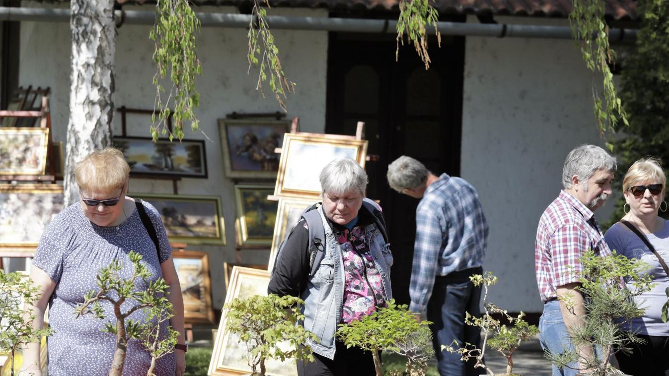 Fejér megye tavaszának üde színfoltja: a tizenegyedik KertExpo