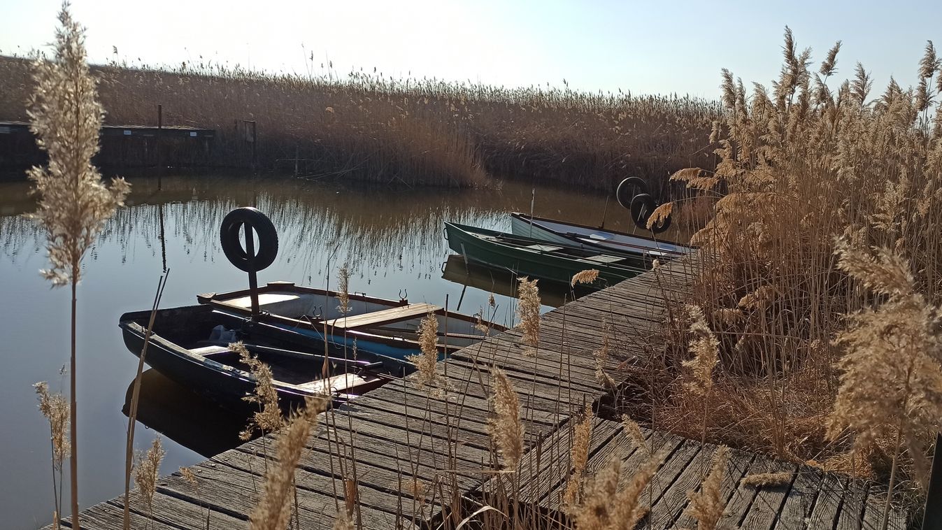 A tavaszi esőzés mentheti meg a szezont a Velencei-tónál