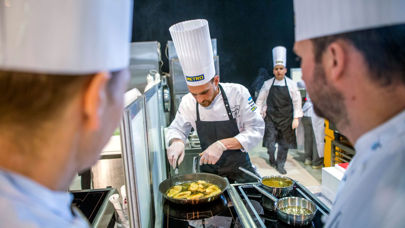 Szerdán indul a Bocuse d'Or budapesti kontinensdöntője