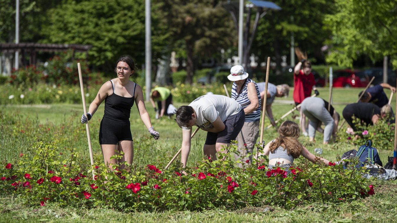 Kétkezi munkával segítenék szeretett városukat, Fehérvárt