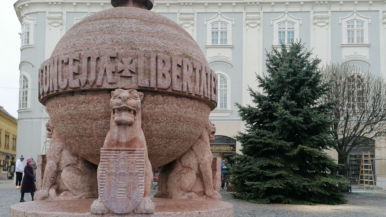 Megérkezett Fehérvár karácsonyfája, Vértesbogláron pedig már szombaton felállították a település fáját (galériával)