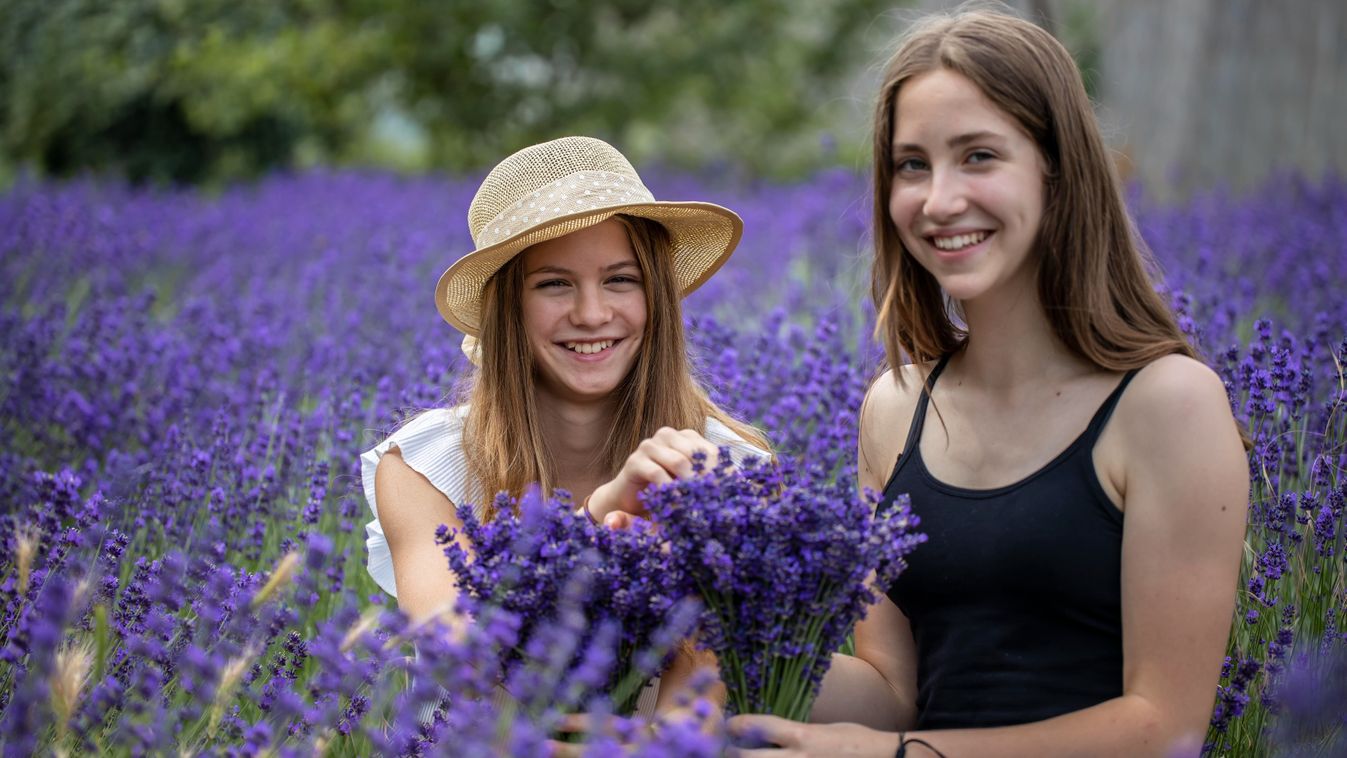 Illatos és megnyugtató - több, mint relaxációs kert a Gárdonyi Levendulás