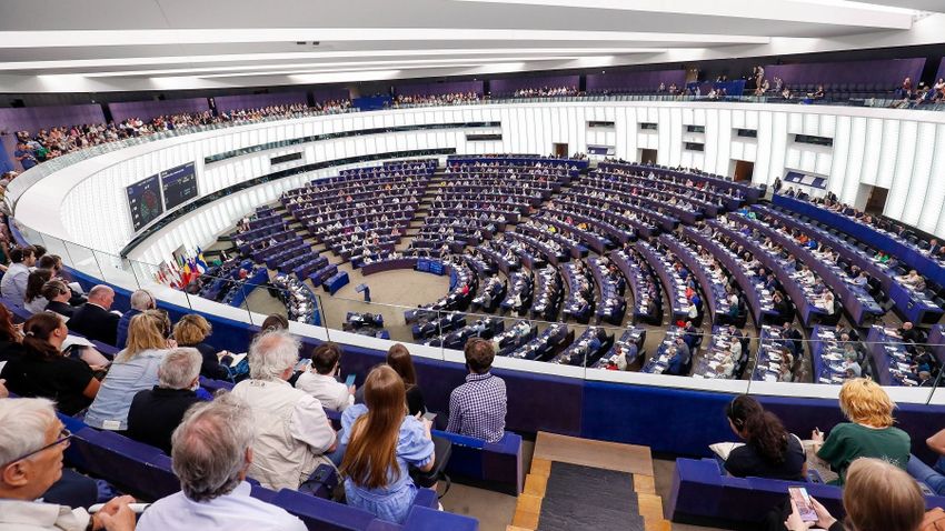 Organizations operating as hotbeds of corruption would be protected by the EP’s new proposal