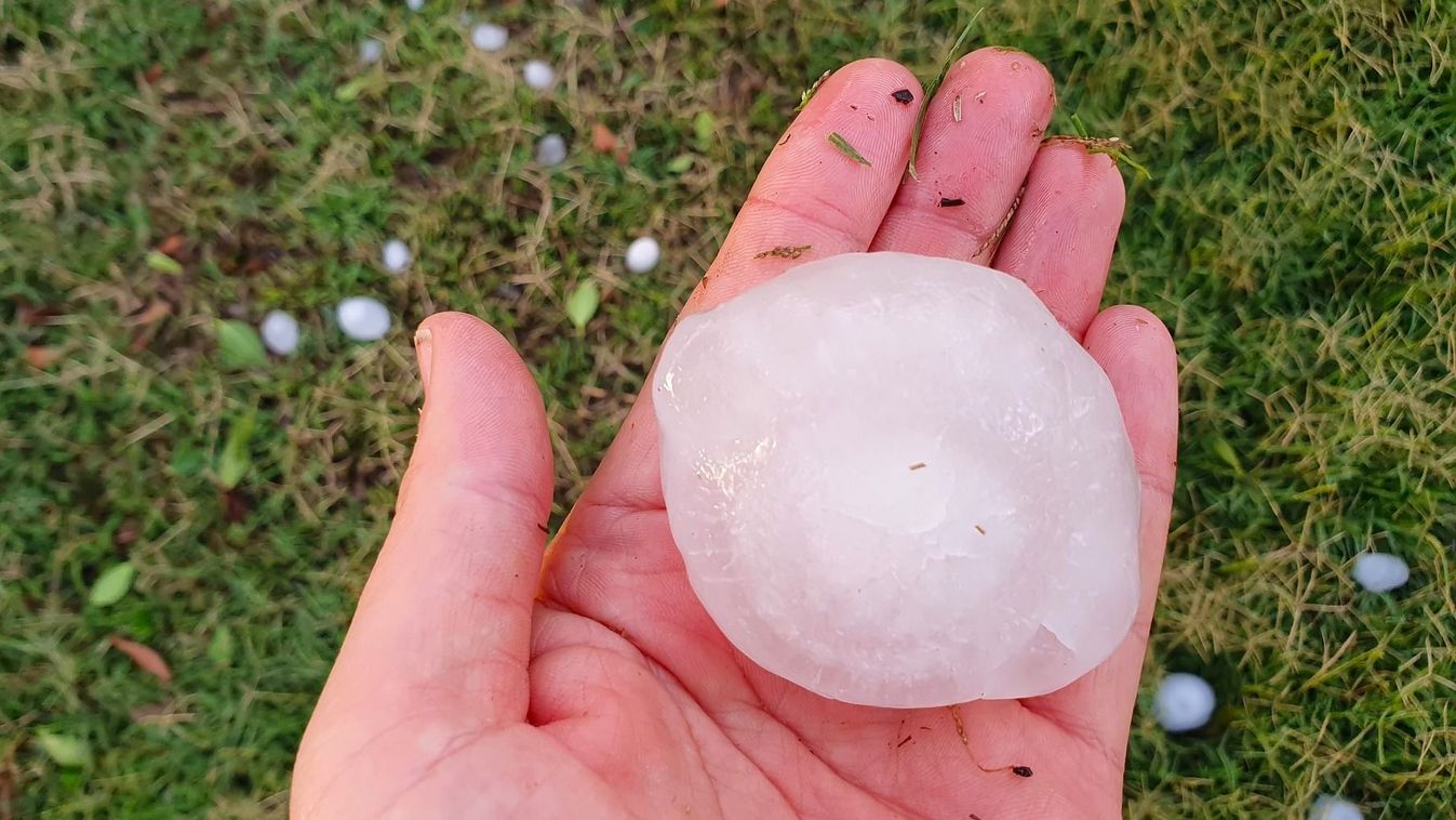 Gólyákat, szarvasokat, lovakat pusztított el a brutális a jégeső (videó)