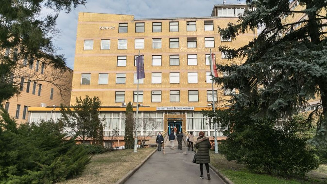 50 éve diplomázott orvost, Palaczk Ilonát köszöntötték Dunaújvárosban