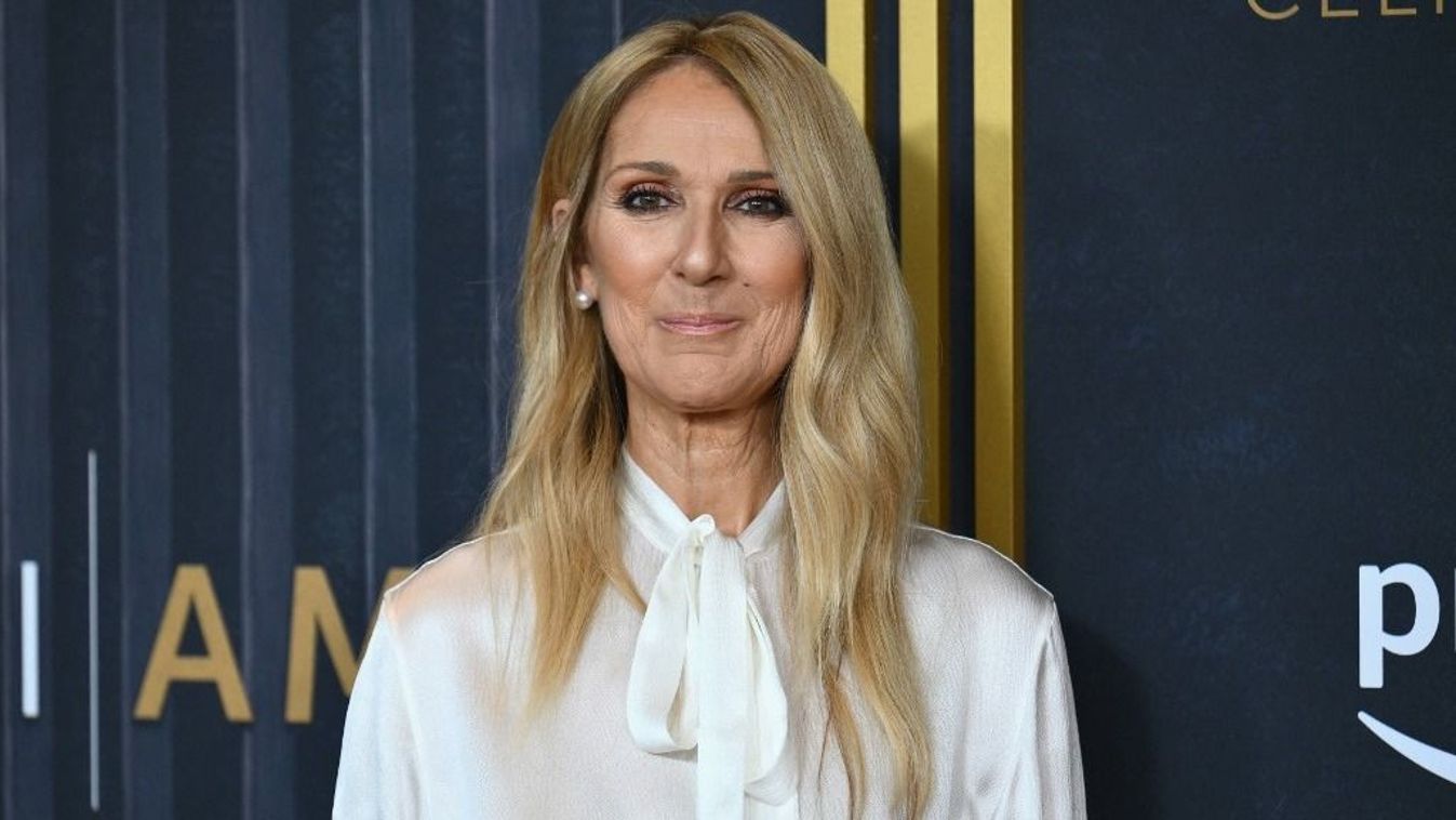 Céline Dion instructed how her sickness began