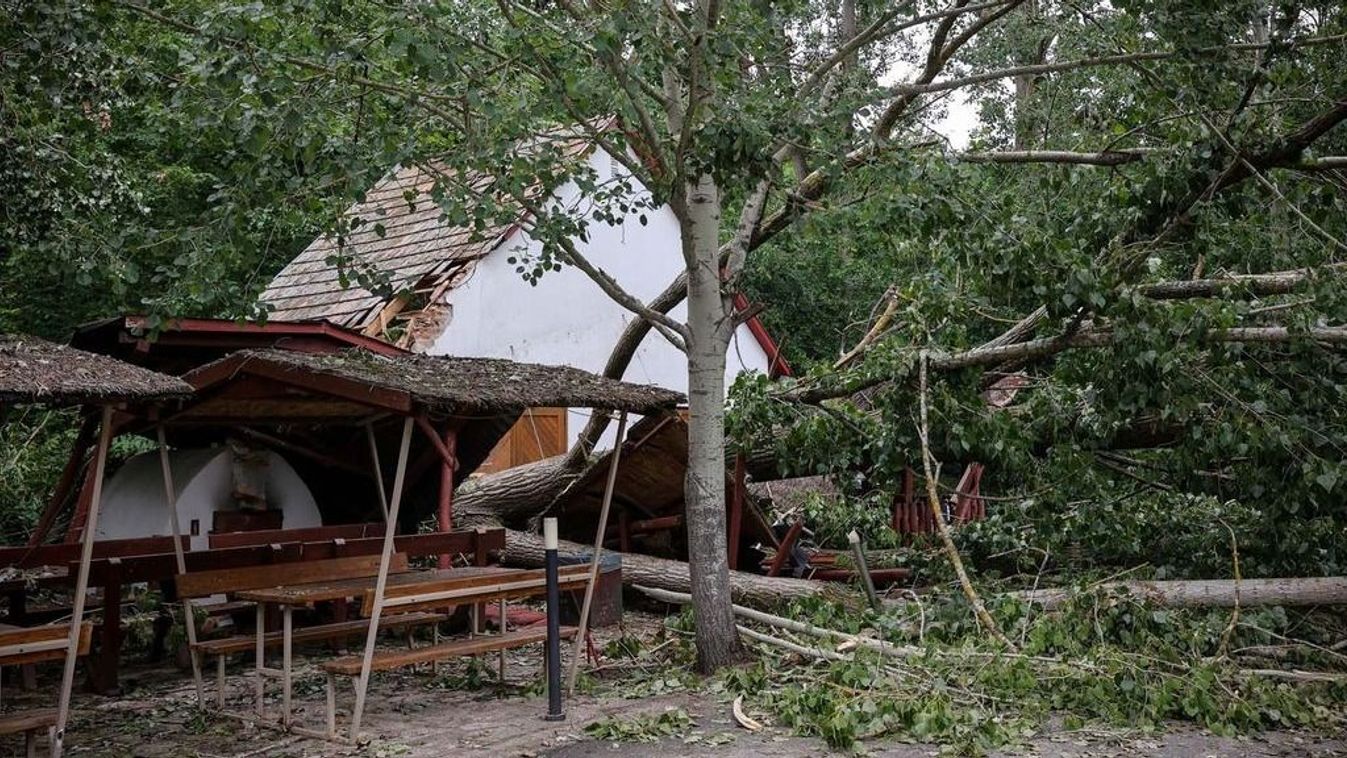 FEOL – The storm brought about horrible harm: lots of of bushes had been destroyed within the Tengelici Park Forest