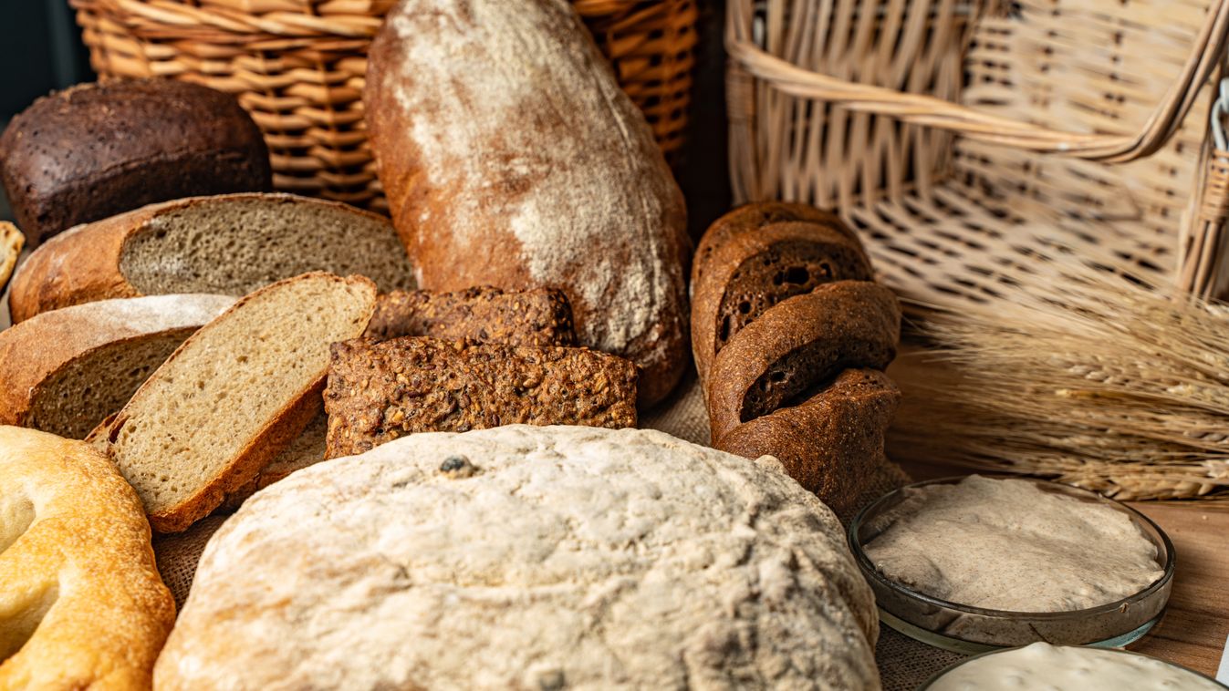 They are looking for Lepsény bread!