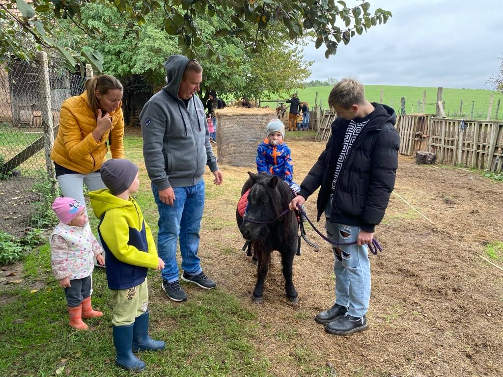 Összegyűlt_a _pénz_Dog_plusz_farm