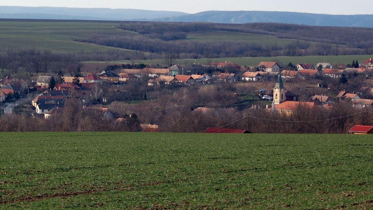 Vértesacsa_mérgezés_fejérvíz_polgármester