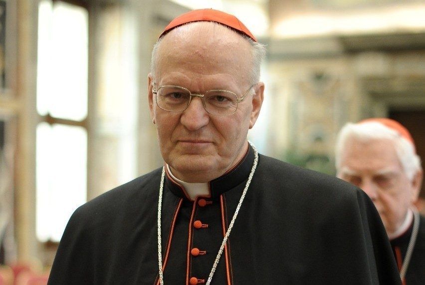 Erdő Péter bíboros