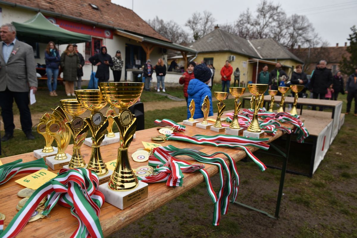 Rögbi