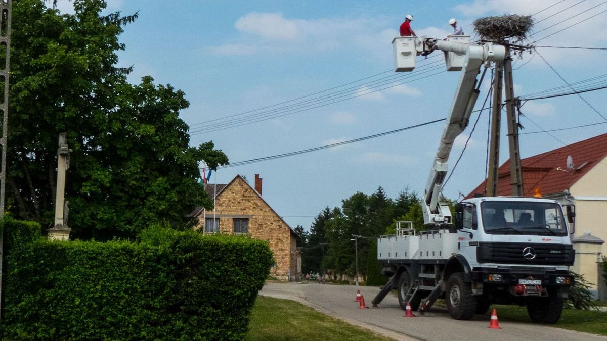 Hamarosan pont kerülhet az ügy végére. Az EON ígéretet tett arra, hogy május végéig elvégzi a madárbarát átalakítást a gólya védelme érdekében.