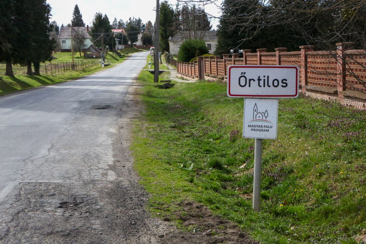 Lottó