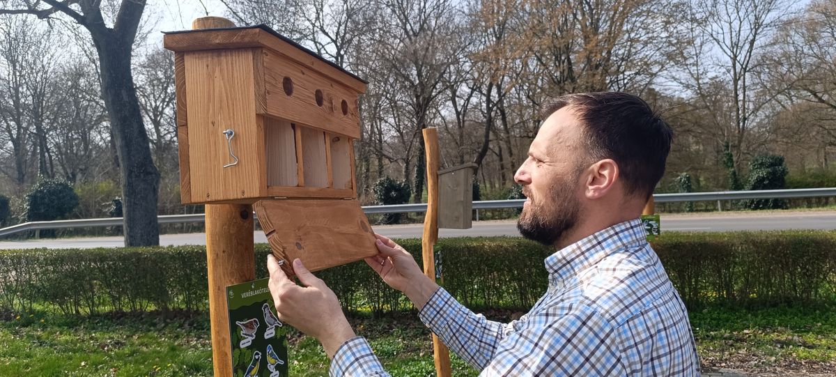 A tanösvény környékére is kikerült sok, különböző kialakítású odú, de összesen van 60 madárodú, melyekből az intézményi parkok, vagyis az óvoda, az iskola és az önkormányzati hivatal parkjaiba is kerül majd, mondta Temesvári Krisztián