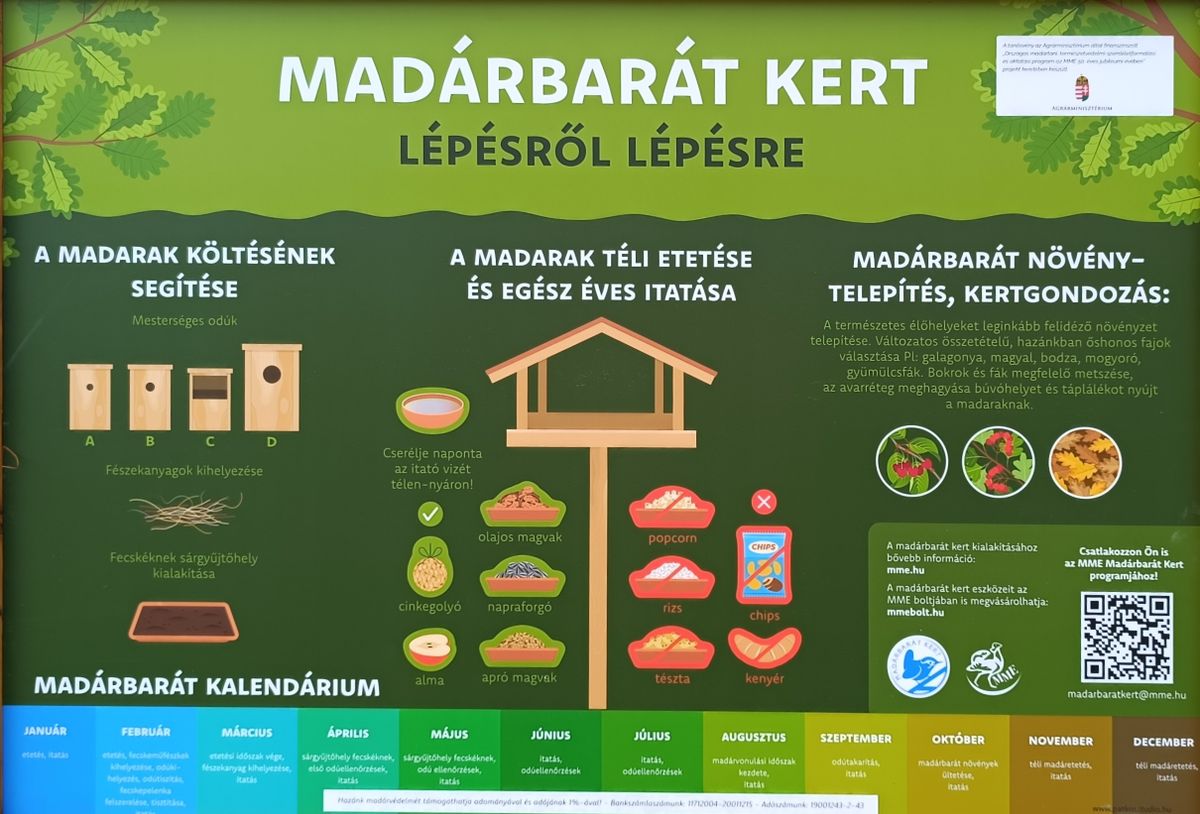 Madártanösvény állomásai között tanulhatunk a kertünkben élő madarakról, azok élőhelyéről, szokásairól