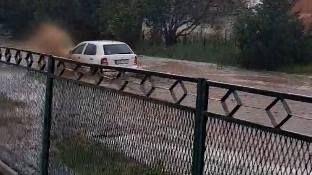 vihar