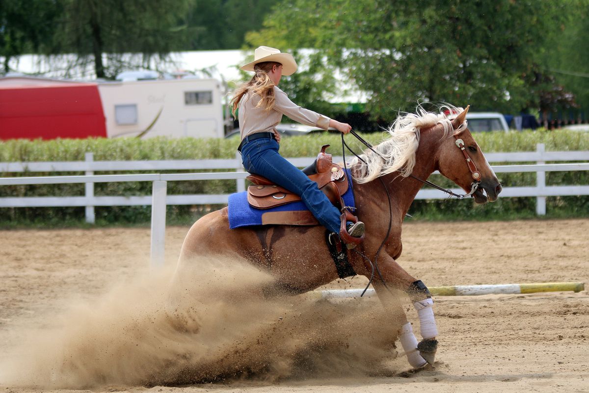 Like a Cowboy