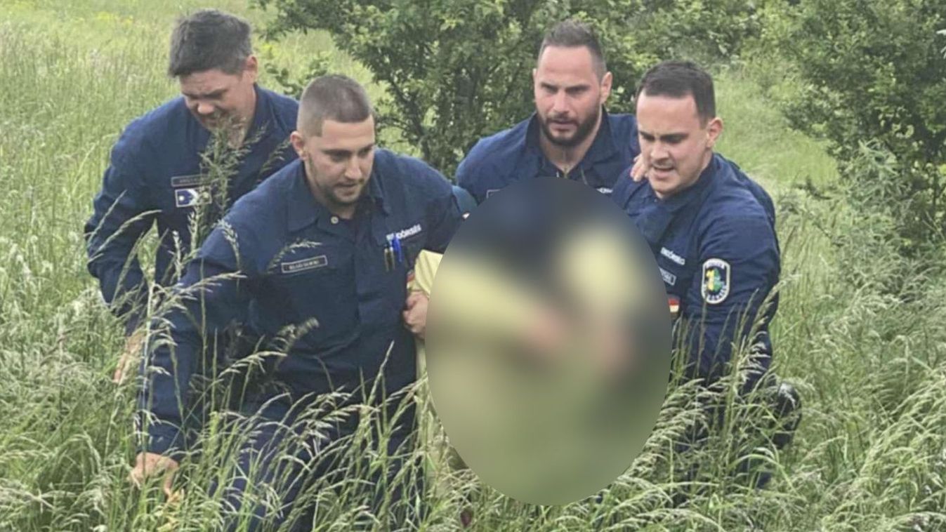 Rendkívüli: így találtak rá az eltűnt Fejér megyei férfira