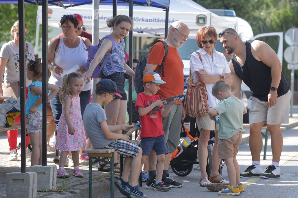 Igazi piknik hangulat volt Székesfehérvár belvárosában. Elektromos csodaautók és gyerekkacaj töltötte be a Prohászka ligetet és környékét.