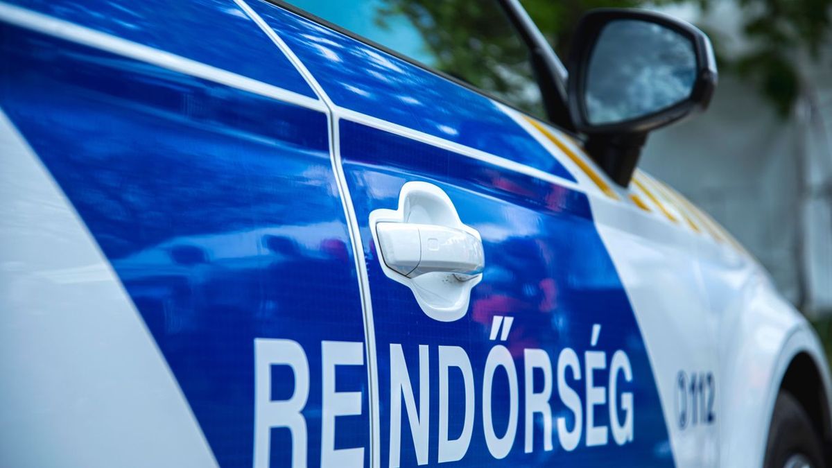 Éveken át jogsi nélkül vezetett, most a rendőrség őrizetbe vette a baracskai sofőrt az M7-esen lévő Váli-völgyi pihenőhelynél.