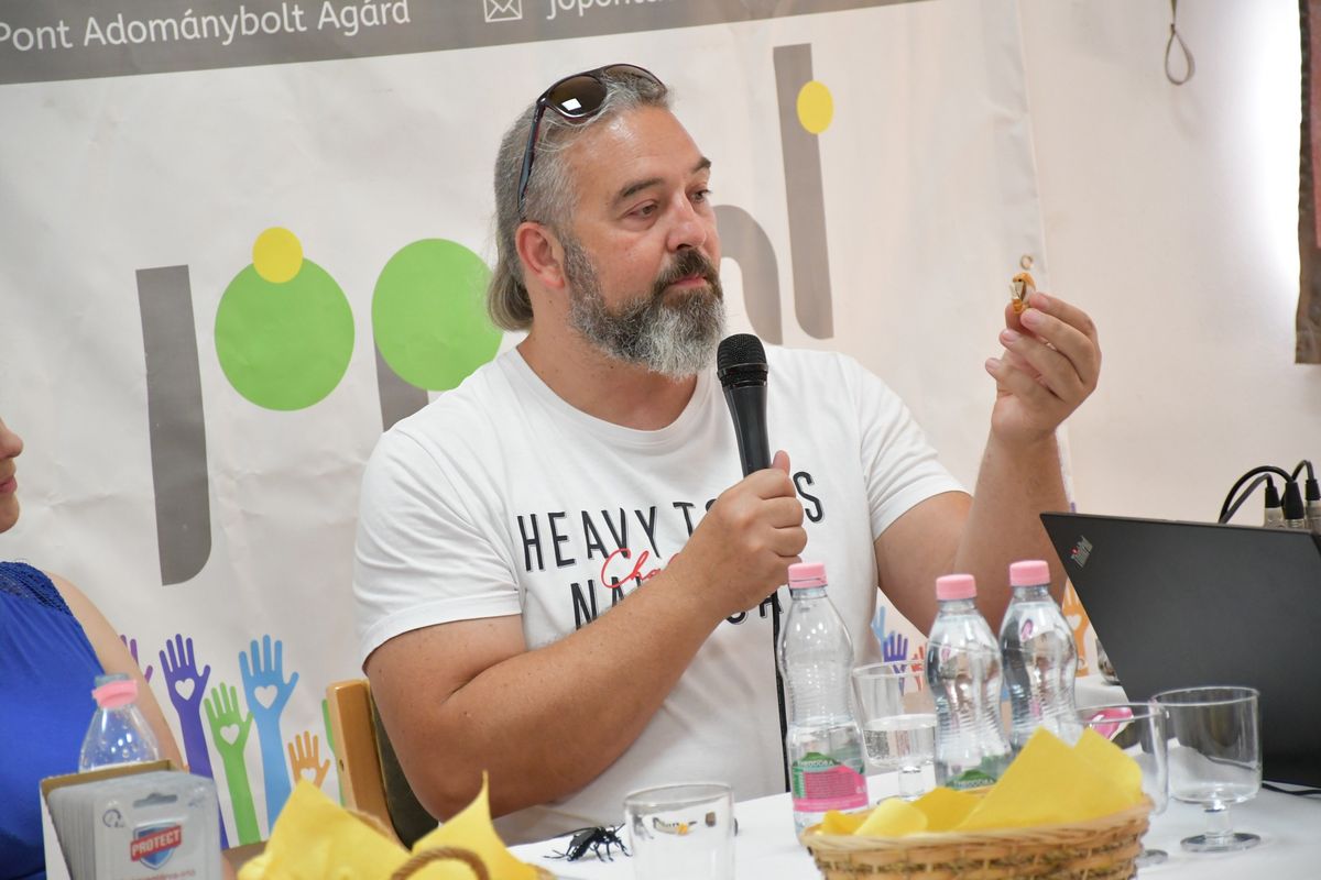 Szúnyoginvázió