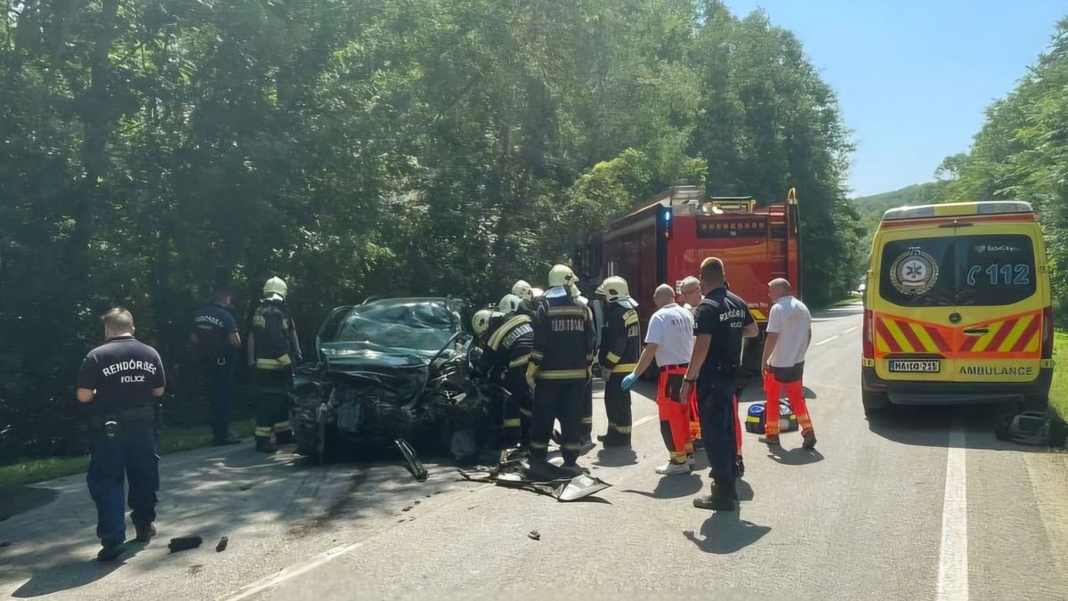 Számtalan baleset rázta meg Fejér megyét, sajnos drámai pillanatokból, megannyi tűzesetből is kijutott. A mentők, tűzoltók, katasztrófavédők nem unatkoztak.