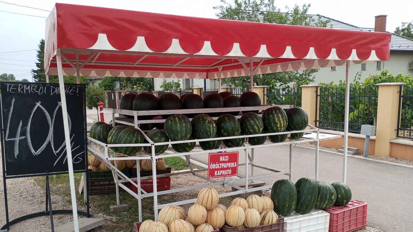 A cecei dinnye fogalom – azt is megtudtuk, miért (videó)