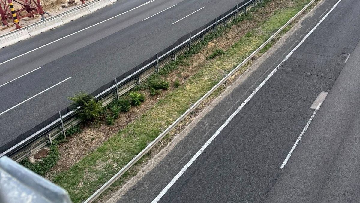 Megmenekült a kiscica az M7-es autópályáról