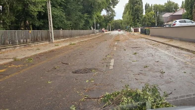 Városszerte dőltek ki fák és szakadtak le ágak Székesfehérváron is – közölte a Városgondnokság. Mutatjuk, hol jelentheti be a viharos időjárás miatti fakárokat!