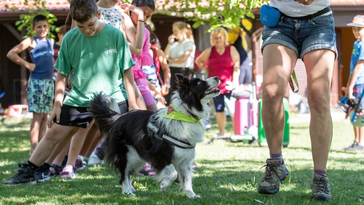  Terápiás kutyák látogatták meg a gyerekeket