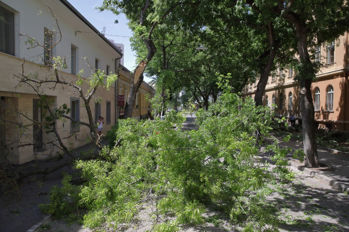 A motoros láncfűrész gyakran munkában volt. Számos leszakadt vagy lehasadt faágakhoz riasztották a tűzoltókat Székesfehérváron és környékén.