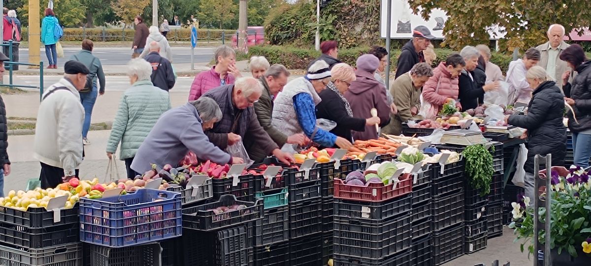 A piaci körkép egyértelmű tapasztalata, hogy az emberek igenis szeretnek a piacon, termelőtől vásárolni, különösen az idősebb korosztály