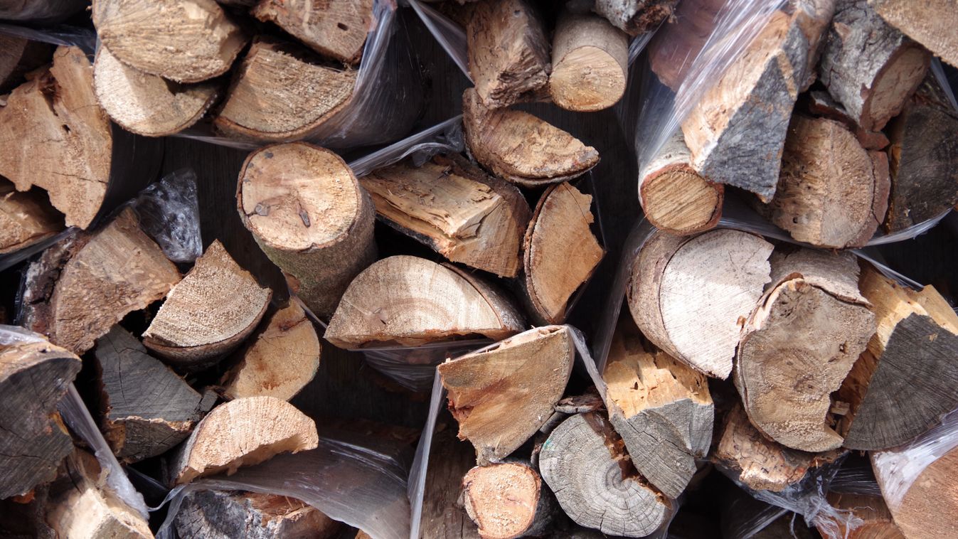 Folyamatos a tűzifa kiszállítása Székesfehérváron – továbbra is várják a rászorulók jelentkezését Kép