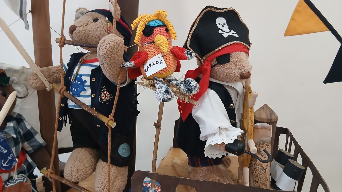 Medvék jelentek meg Székesfehérváron – és ennek örülünk!