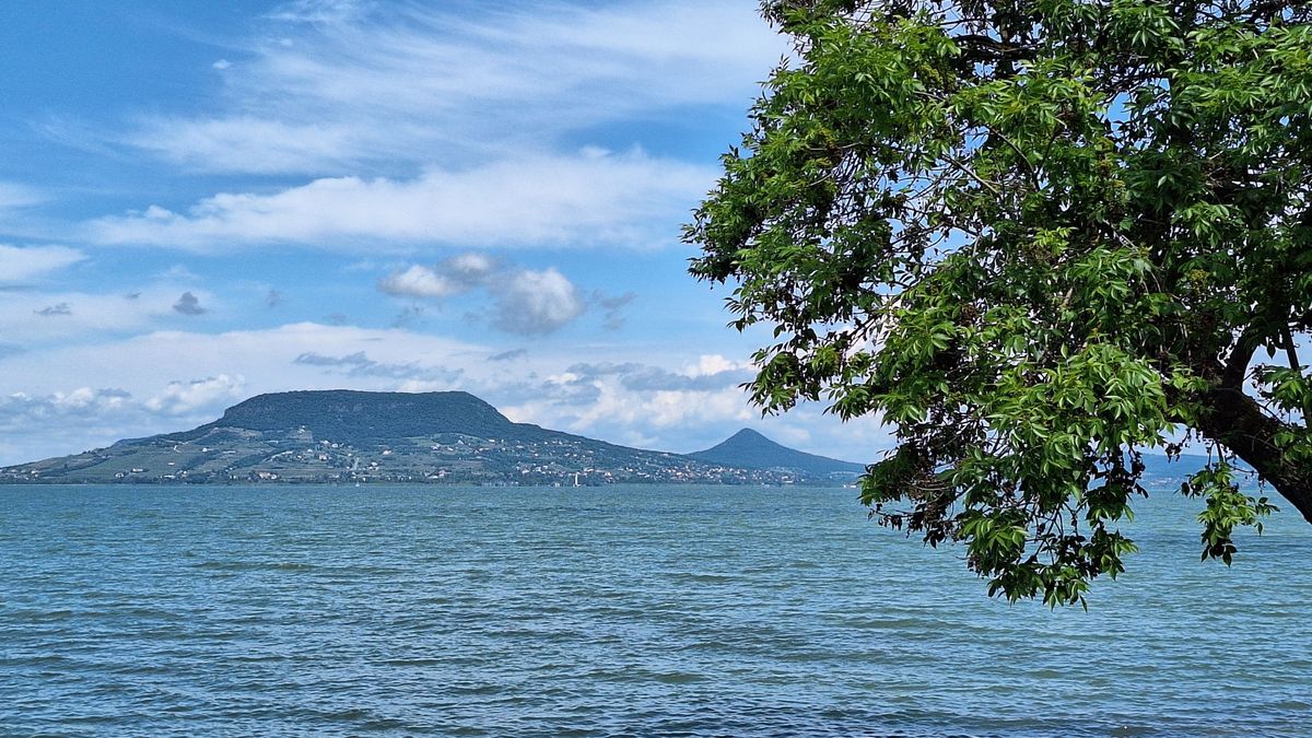 Fertőzés a Balatonban: a klíma változás miatt terjedhet a különös betegség