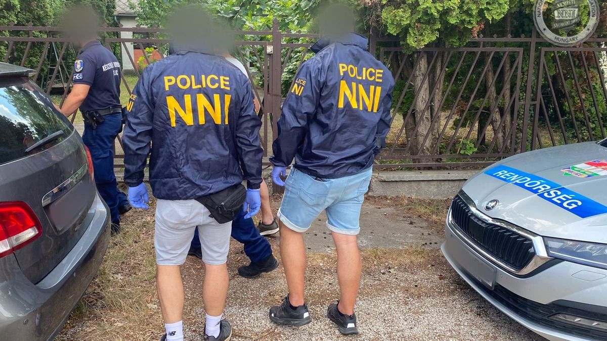 Több mint tíz kiló drog érkezett Thaiföldről, a székesfehérvári nyomozók csaptak le (videó)