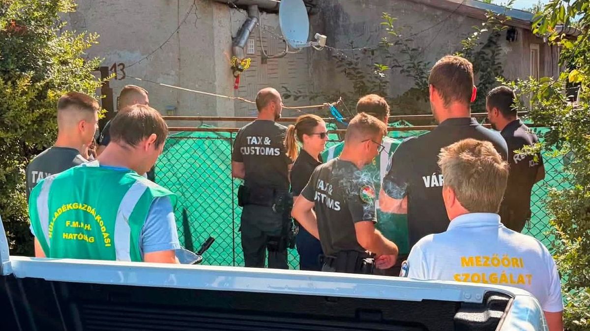 Az illegális tevékenységek felderítése mellett körözötteket is begyűjtöttek Ercsiben (videó)