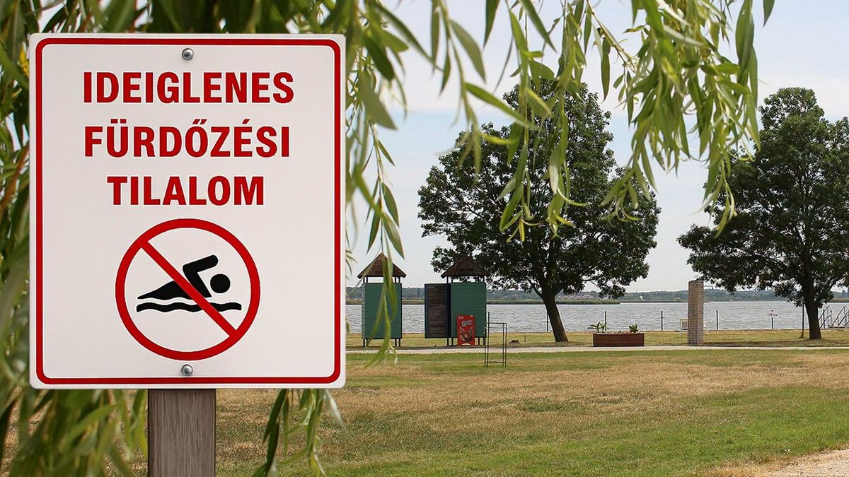 Újabb strandokat kellett lezárni a Velencei-tónál, de van, ahol az üzemeltető ennek nem tett eleget
